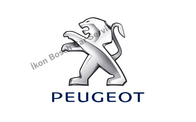 Ataşehir Peugeot Servisi